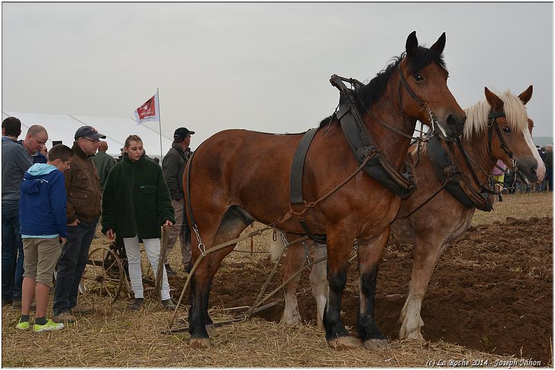 vieux_tracteurs_2014 (96)