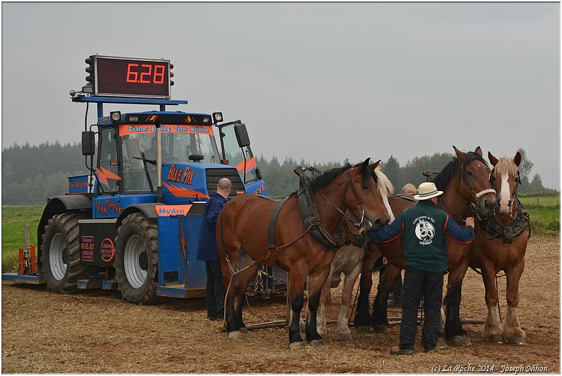 vieux_tracteurs_2014 (24)