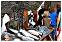 we_medieval_2014 (22)