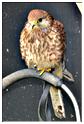 we_medieval_2014 (100)