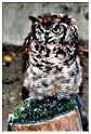 we_medieval_2014 (101)