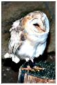 we_medieval_2014 (102)