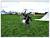 Page pr�c�dente (p)