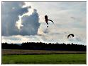 we_paramoteur_2013 (33)