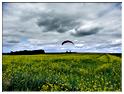 we_paramoteur_2013 (73)
