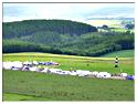 we_paramoteur_2013 (93)