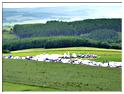 we_paramoteur_2013 (94)