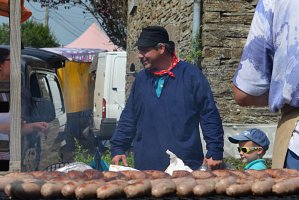 samre2016309